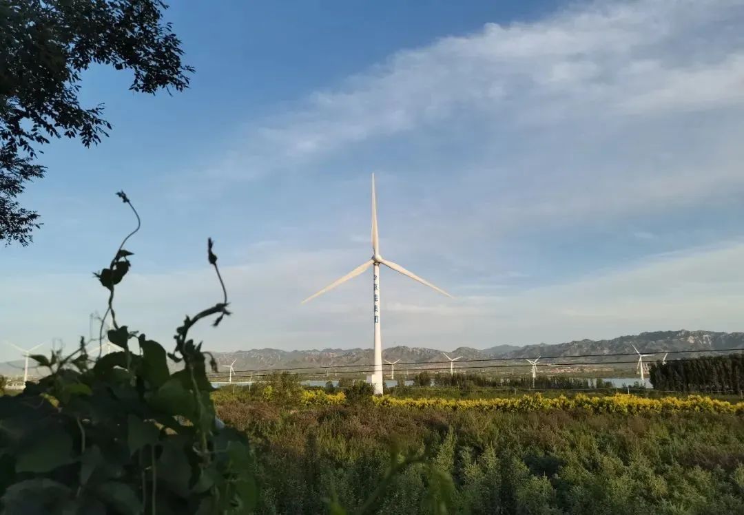 微信圖片_20220707162041.jpg